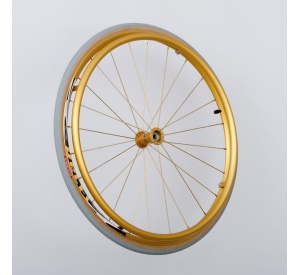 gold wheel 24