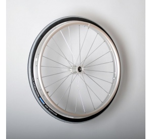 silver wheel 24